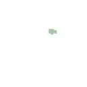 Town of Neva logo