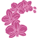 Town of Orchid logo
