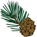 Town of Woodworth logo