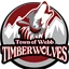 Town Of Webb Union Free School District logo
