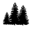 Town of Grayling charter logo