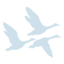 Jerusalem village logo
