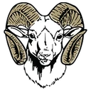 Blue Valley Unified School District 384 logo