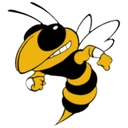 Vanderbilt Area Schools logo