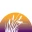 Waunakee village logo