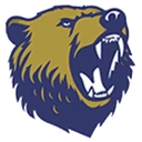Bonduel village logo