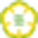 Schaumburg village (pt.) logo
