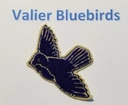 Valier village logo