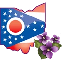 Town of Violet logo
