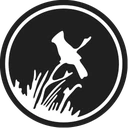 Town of Wadsworth logo