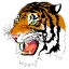 Webster School District logo