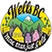 District of Wells logo