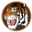 Wellsville Local Schools logo