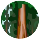 Willits Unified logo