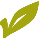 City of Winchester logo