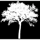 Waterville Public Schools logo
