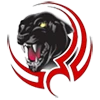 Young Elementary School District logo