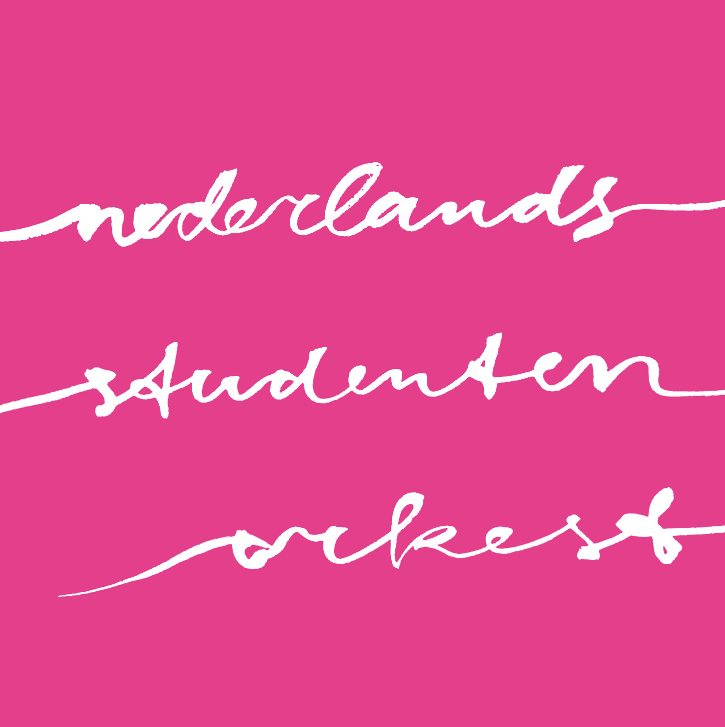 Stichting het Nederlands Studenten Orkest