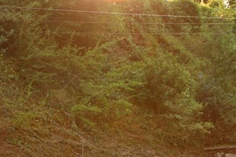 Séance du 23/07/2013