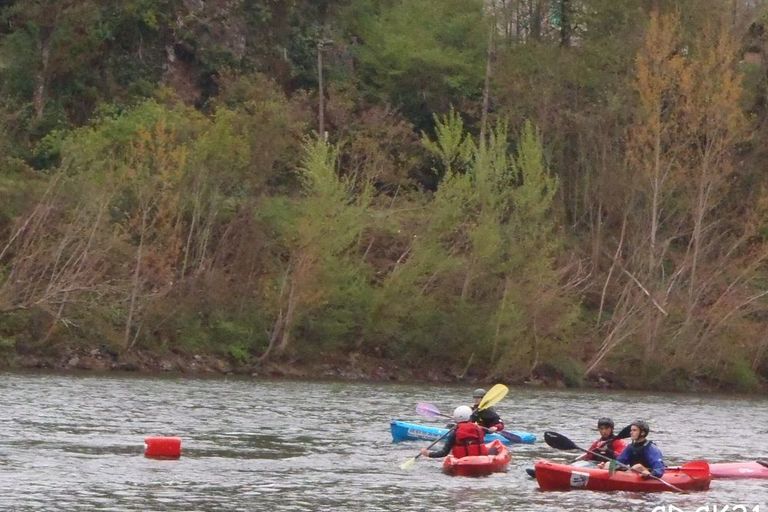 Formation AMFPC 2012