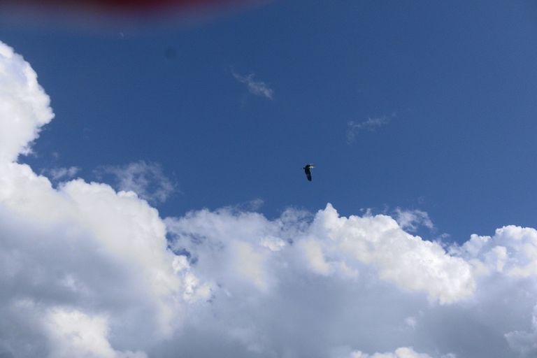 Dordogne 25-26/04/2015