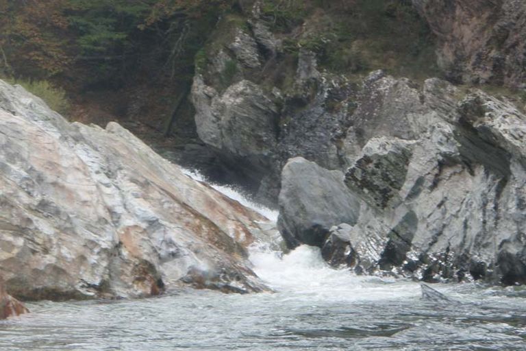 Dourbie P5 01/11/2012