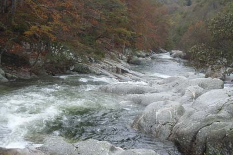 Dourbie-Valgarnide 31/10/2012