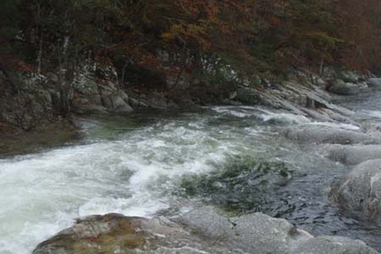 Dourbie-Valgarnide 31/10/2012