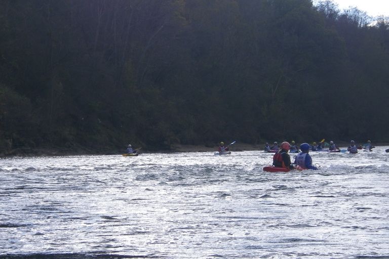 Marathon de Muret 2011