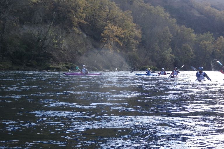 Marathon de Muret 2011