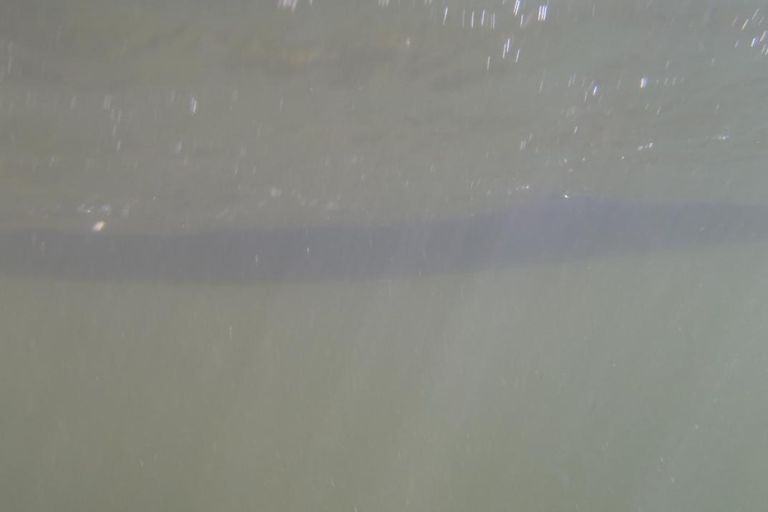 Sortie club Ariege du 25/08/2013