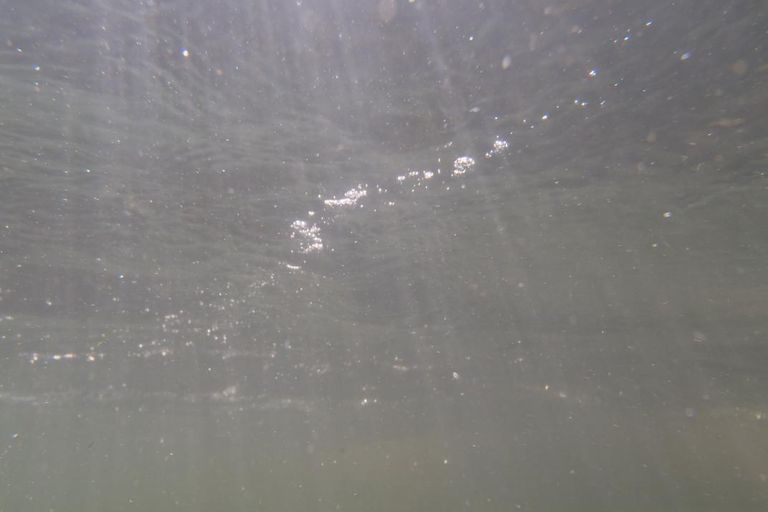 Sortie club Ariege du 25/08/2013