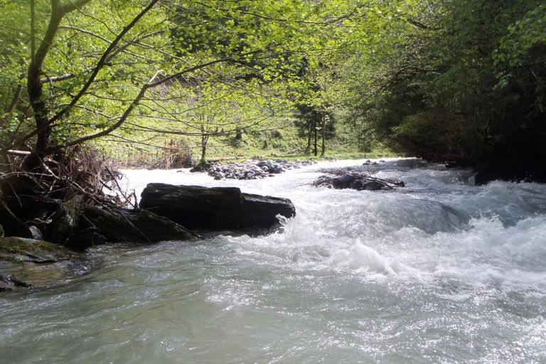 Week-end St Pé 2014