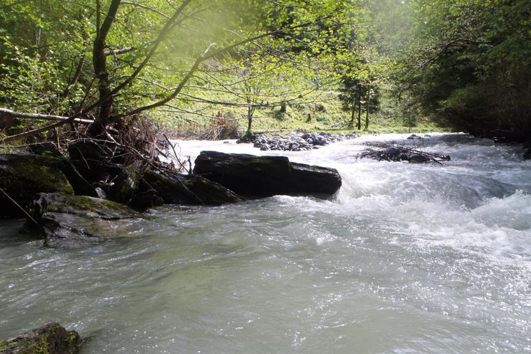 Week-end St Pé 2014