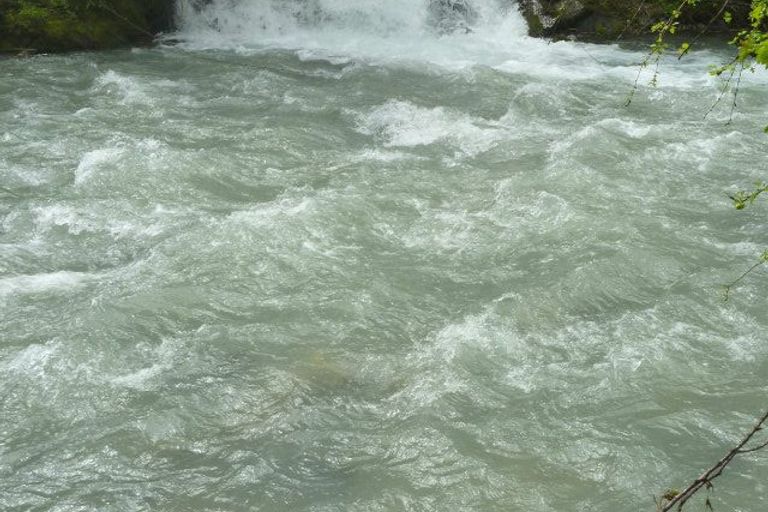 Week-end St Pé 2014