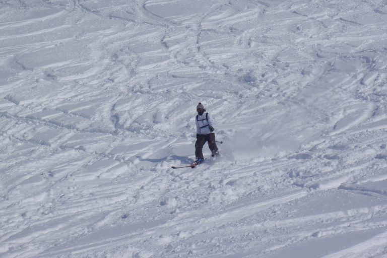 Journée Ski 2012