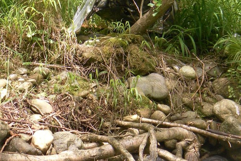 Nettoyage de rivières CKT 2016