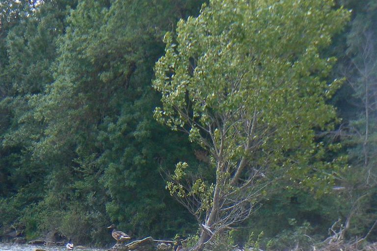 Nettoyage de rivières CKT 2016