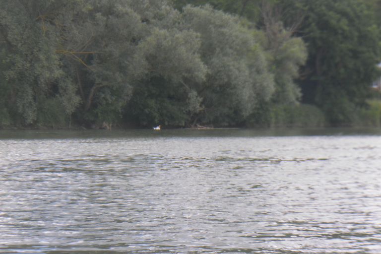 Nettoyage de rivières CKT 2016