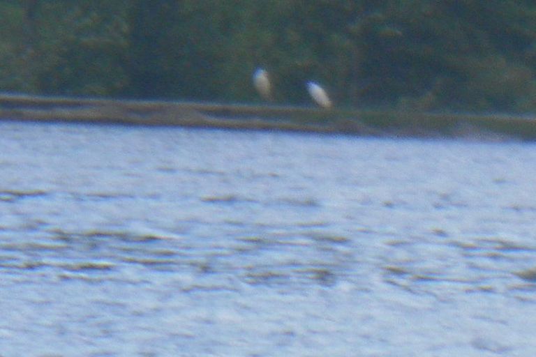 Nettoyage de rivières CKT 2016