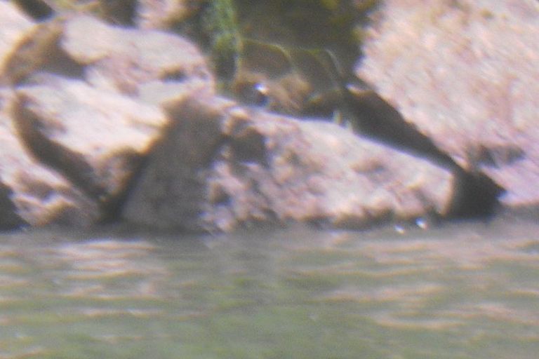 Nettoyage de rivières CKT 2016