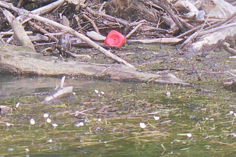 Nettoyage de rivières CKT 2016