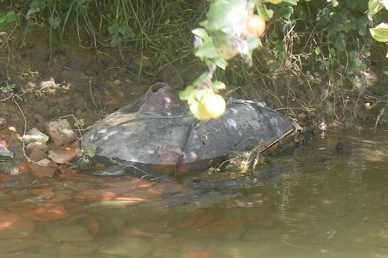 Nettoyage de rivières CKT 2016