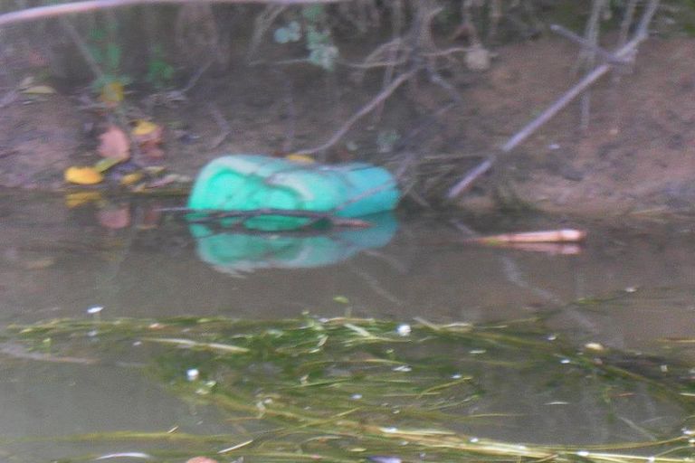 Nettoyage de rivières CKT 2016