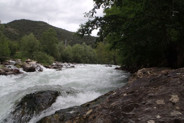 Sortie Palla, juin 2017