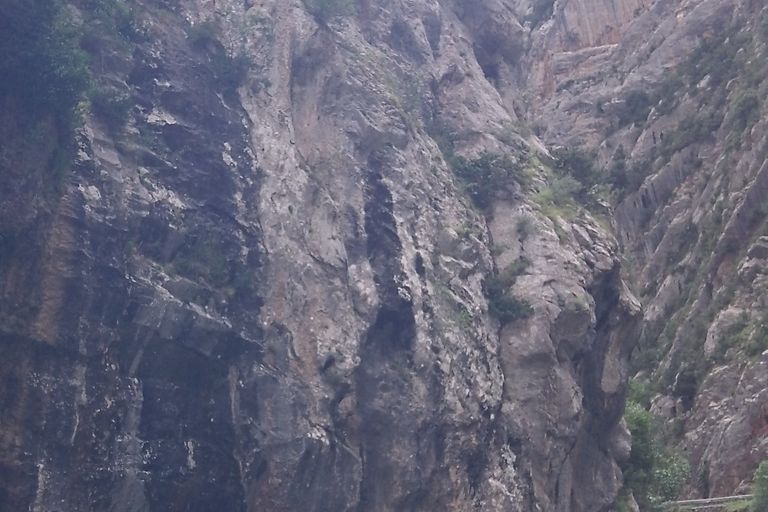 Sortie Palla, juin 2017