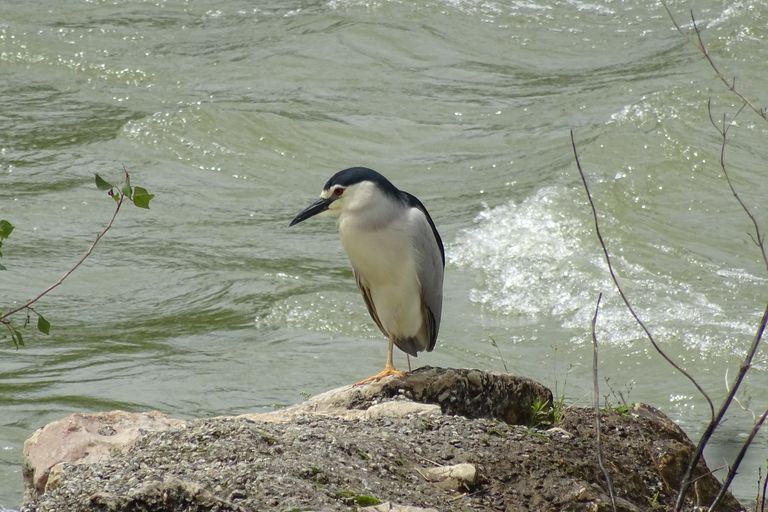 ECOLE DE PAGAIE MAI 2018