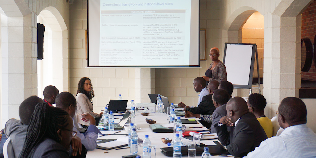 CLASP’s Rebecca Schloemann and Naomi Wagura leading a technical working group in Nairobi in support of Kenya’s National Cooling Action Plan