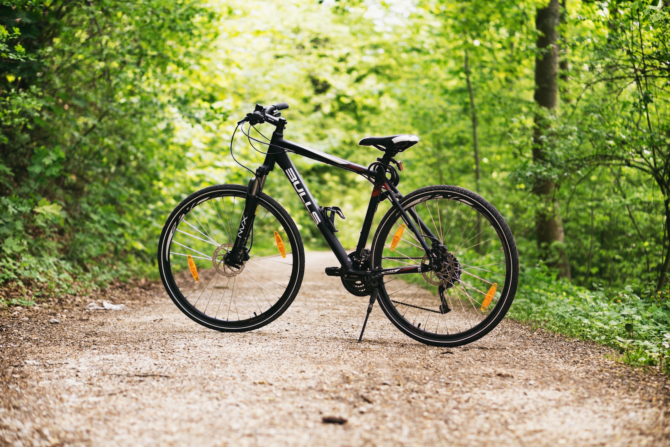 Shimano North America