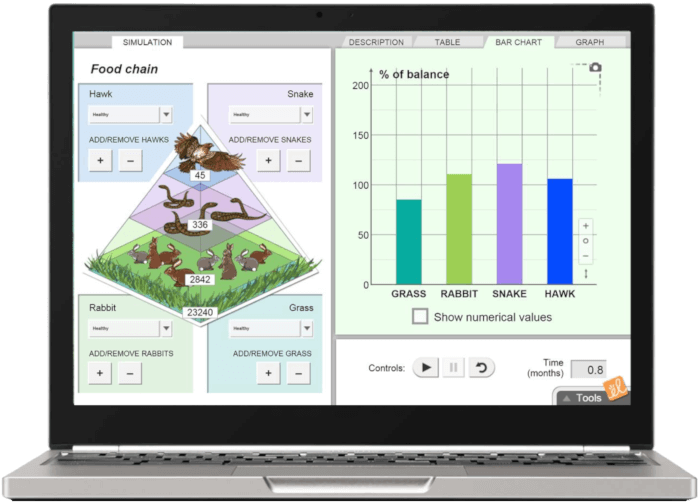 Explore learning Gizmos on a Chromebook